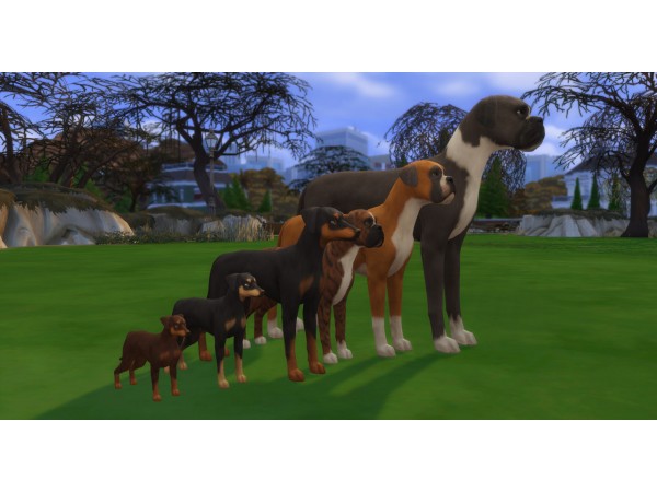 the sims 4 height slider